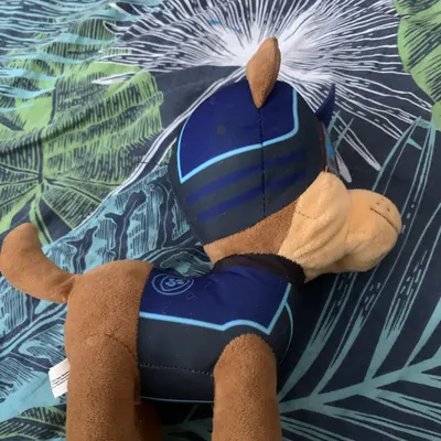 Peluche par patrouille 